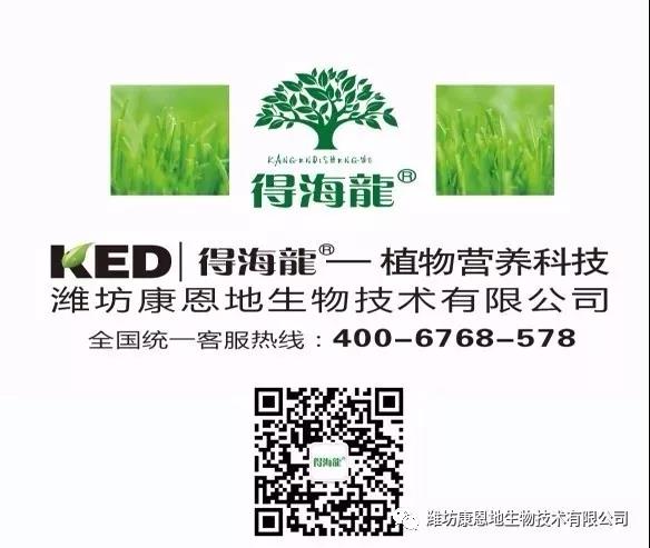 公司图片.jpg 公司图片.jpg
